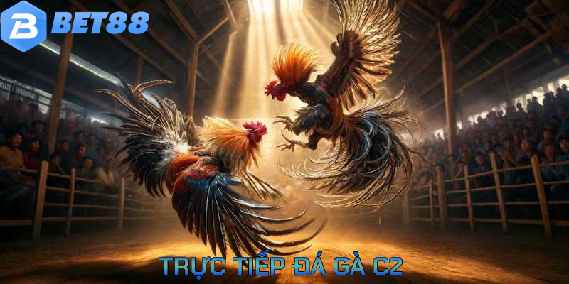 truc-tiep-da-ga-c2-dai-dien